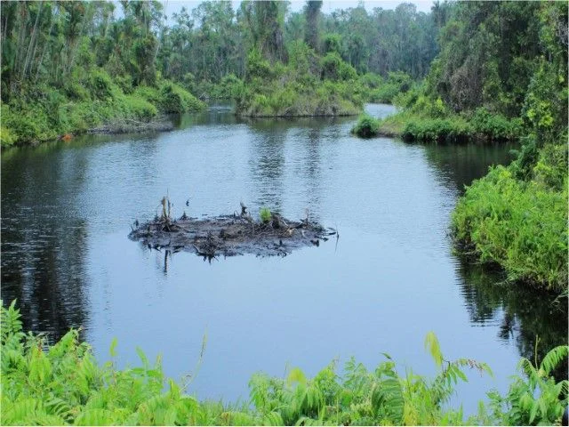 wisata