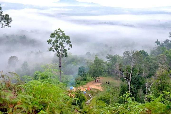 Bukit Condong
