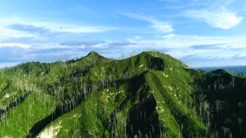 Bukit Condong